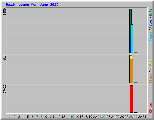 Daily usage for June 2025